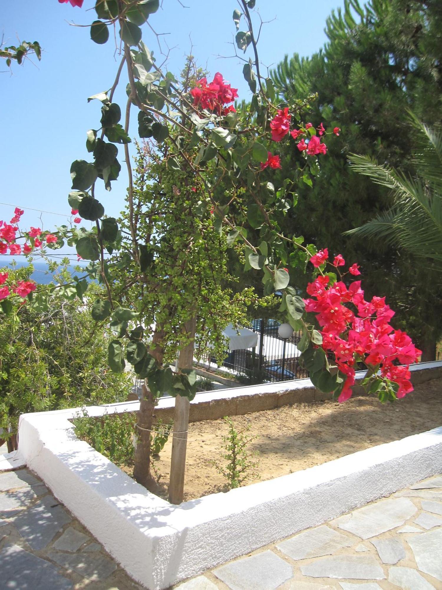Travlos Studios Eleios-Pronnoi Exterior photo